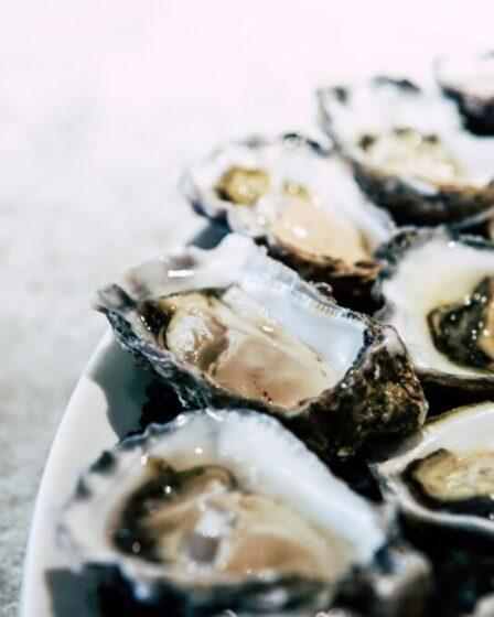 Cosa mangiare in vacanza a Tortolì-Arbatax.