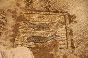 Domus-mosaici-marini-Porto-Torres-Sardegna