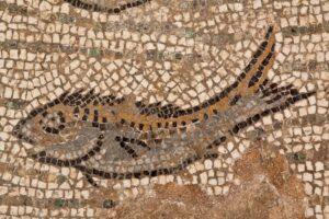 Dettaglio dalla Domus dei mosaici marini, Porto Torres