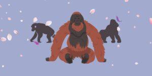 Evoluzione-parte-1-Primati