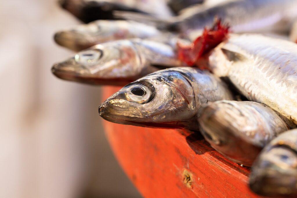 Pesce azzurro: acciughe.