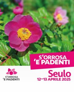 S'orrosa 'e padenti, a Seulo, il 12-13 aprile 2025.