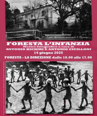 Foresta l'infanzia - Vernissage sabato 14 giugno 2025.