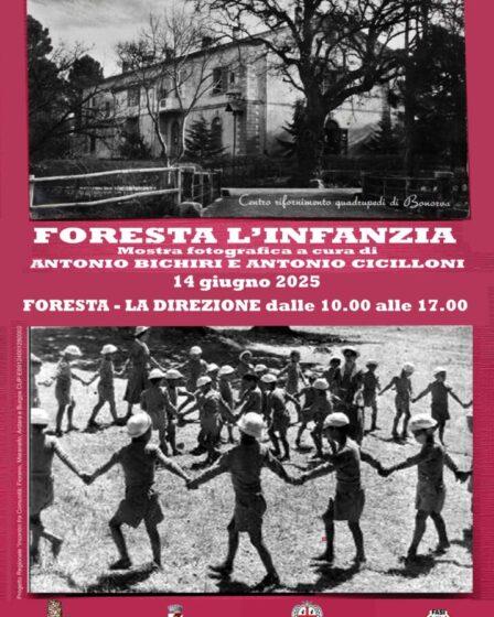 Foresta l'infanzia - Vernissage sabato 14 giugno 2025.