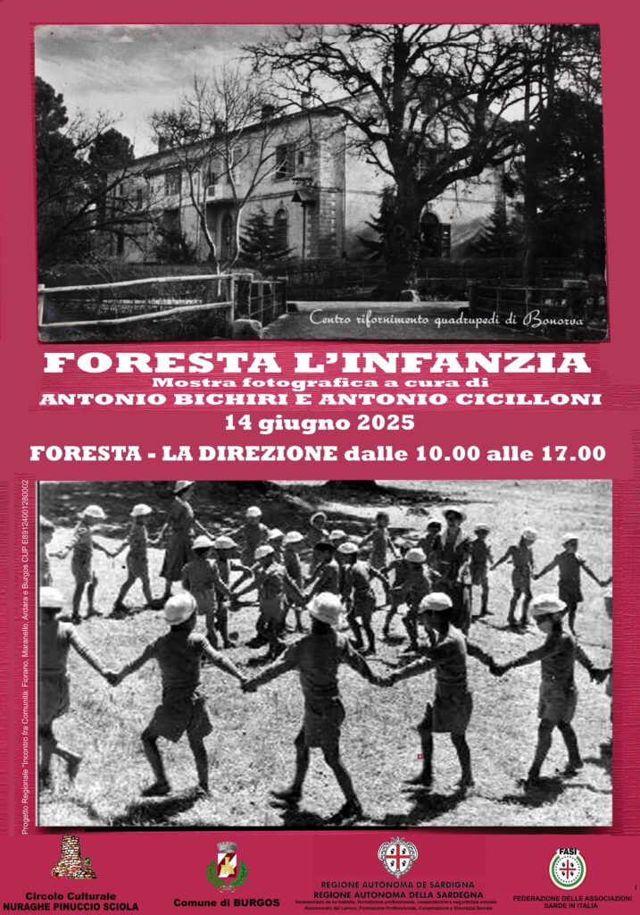 Foresta l'infanzia - Vernissage sabato 14 giugno 2025.