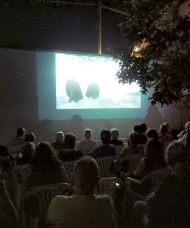 S'Ozzastru vince il Premio del Pubblico a Villa Verde. Immagine concessa da Sara Melosu.